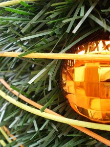 v�no�n� strome�ek na v�noce